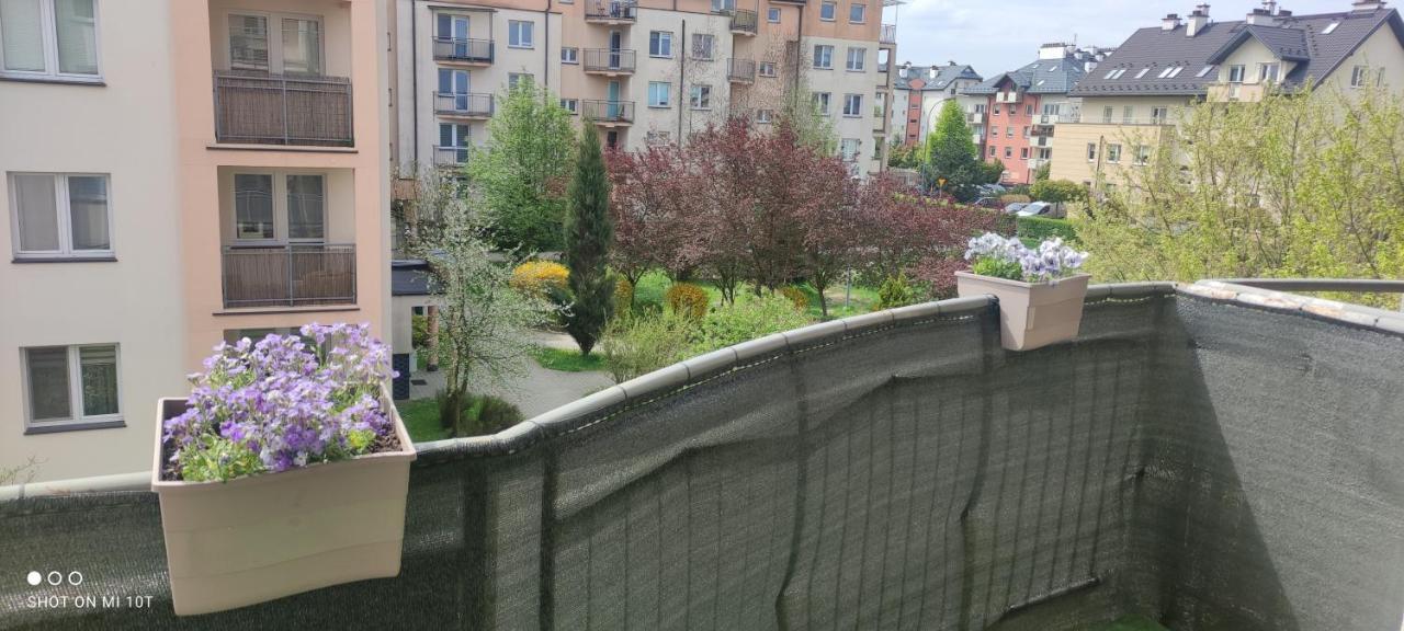 Krosnienska Apartment